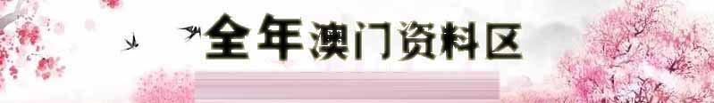 新澳第二场资料